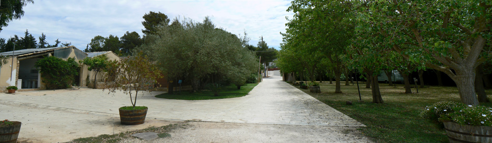 agriturismo-san-lorenzo-panoramica